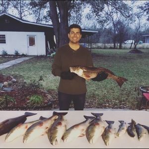 Meet your Posher, Justin